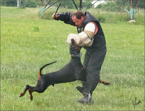 Cliff - training 6/2007